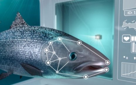 BFM: The Business Station - Podcast Evening Edition: Facial Recognition for  Fish